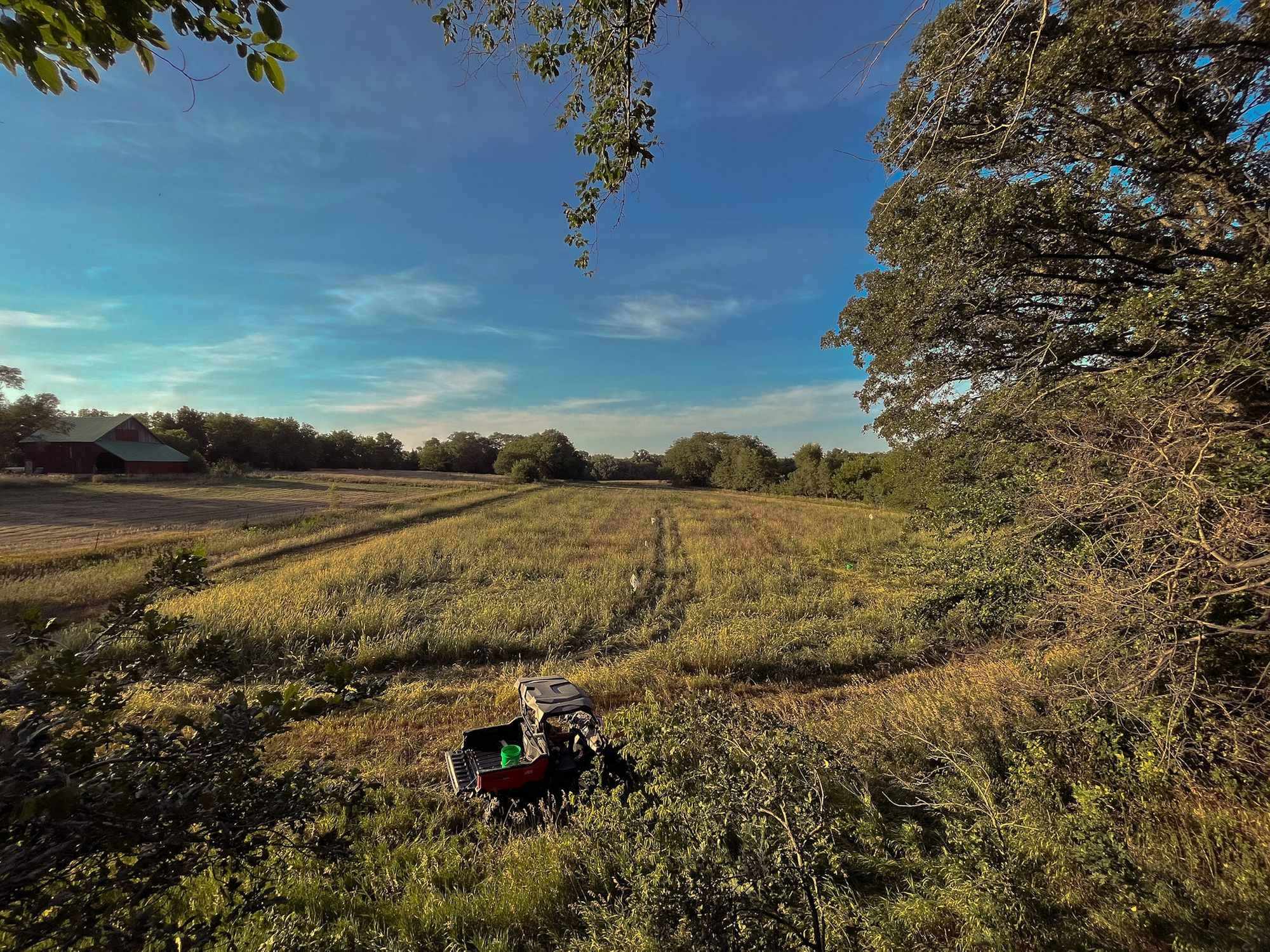 The pasture at Still Pastures in evening light, with a red barn at the left edge, mown hay beyond it and a farm utility vehicle in the grass, under a blue sky